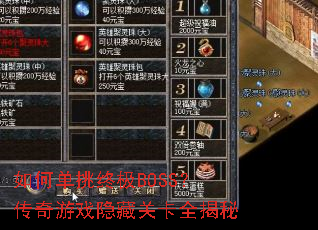 ��ε����ռ�BOSS��������Ϸ���عؿ�ȫ����