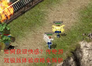 ��λ�ȡ��У�������Ϸ�������鹥��ȫ����